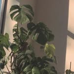 jada - @jadabrewster - Instagram