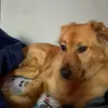 Jade Camacho - @bahahahahahahaahhaaa - TikTok