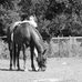 Jade Chambliss Contreras - Facebook