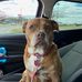 Jayda Cheatham - Facebook
