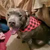 jada cole - @living.my.life23 - TikTok