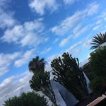 Jadadickson. - @jadadickson.8 - Instagram