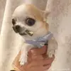 Jada - @jadagibson_21 - TikTok