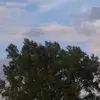 yo girl jaelyn😍😝💕 - @jada.a.gunn - TikTok