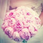 Jada Hale - @flowerprincesses56 - Instagram