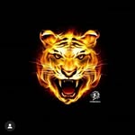 Hammad Nawab jada - @nawab__jada__hammad - Instagram