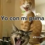Jade Herrera - Facebook