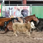 Jade Keller Performance Horses - @jadekellerperformancehorses - Instagram