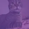 jadaknight774 - @jadaknight774 - TikTok