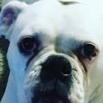 jadaknight - @jadaknight67 - Instagram