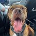 Jayda Lowe - Facebook