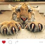Jada Mcbride - @jj_like_for_eves - Instagram