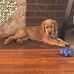 Jade Patton - Facebook