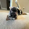 jadaa - @jada.rramos - TikTok