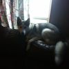 Jade Randolph - @mysterdog - TikTok