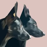 Jade Redman - @rosie_and_margot_the_gsds - Instagram