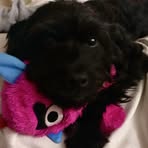 Jade Ridgeway - Facebook