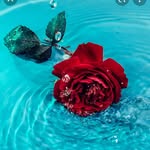 jadashields9 - @shieldsjada90 - Instagram