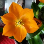 JadaSilva - @jasil246 - Instagram