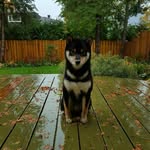 jadasnow - @jadasnow6650 - Instagram