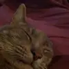 jada - @jadastreett - TikTok