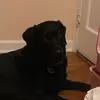 🐶Jada❤️ - @xx.jada.sullivan - TikTok