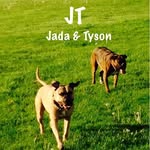 JT - @jada_tyson - Instagram