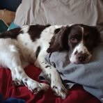 Jade Vance - Facebook