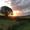 jada walton - @jada.walton5 - TikTok