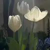 Jada Waters - @jada.waters6 - TikTok