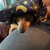 Jada Watson - @jadawatson8 - TikTok