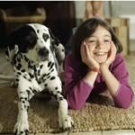 jade wilcox - @the_watch_hounds - Instagram