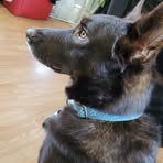 Jade Elder - Facebook
