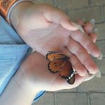 Jade Atkinson - @jade_atkinson_theme_acc - Instagram