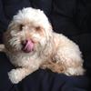 Jade.atkinson - @jade.atkinson4 - TikTok