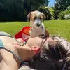 jade b🍸🥥 - @jadebarrettt - TikTok