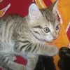 Jade Blain - @jade071411 - TikTok