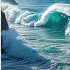 Jade Blain-Bird - @jade.blainbird - TikTok