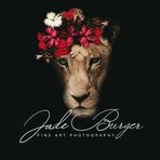 Jade Burger Fine Art Photographer - Facebook