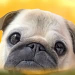 jade - @jadecamp_5 - Instagram