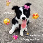 Jade Cheng - @jadecheng8226 - Instagram