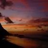 jade_cline - @jade_cline - TikTok