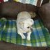 Judy Colclasure - Facebook