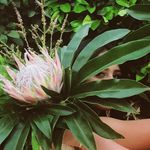 jade conde - @jadecondephotography - Instagram