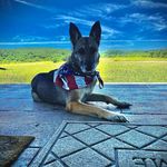 Jade Corn - @queen_jade_gsd - Instagram