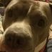Jaley Kade - Facebook