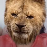 Jade daner - @jade_danner5757 - Instagram