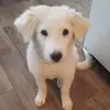 Jade deleon - @jade.deleon1 - TikTok