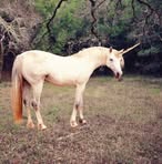 Jayda Dillard - Facebook