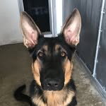 Dirks/ Jade - @dirks_and_jade_ - Instagram